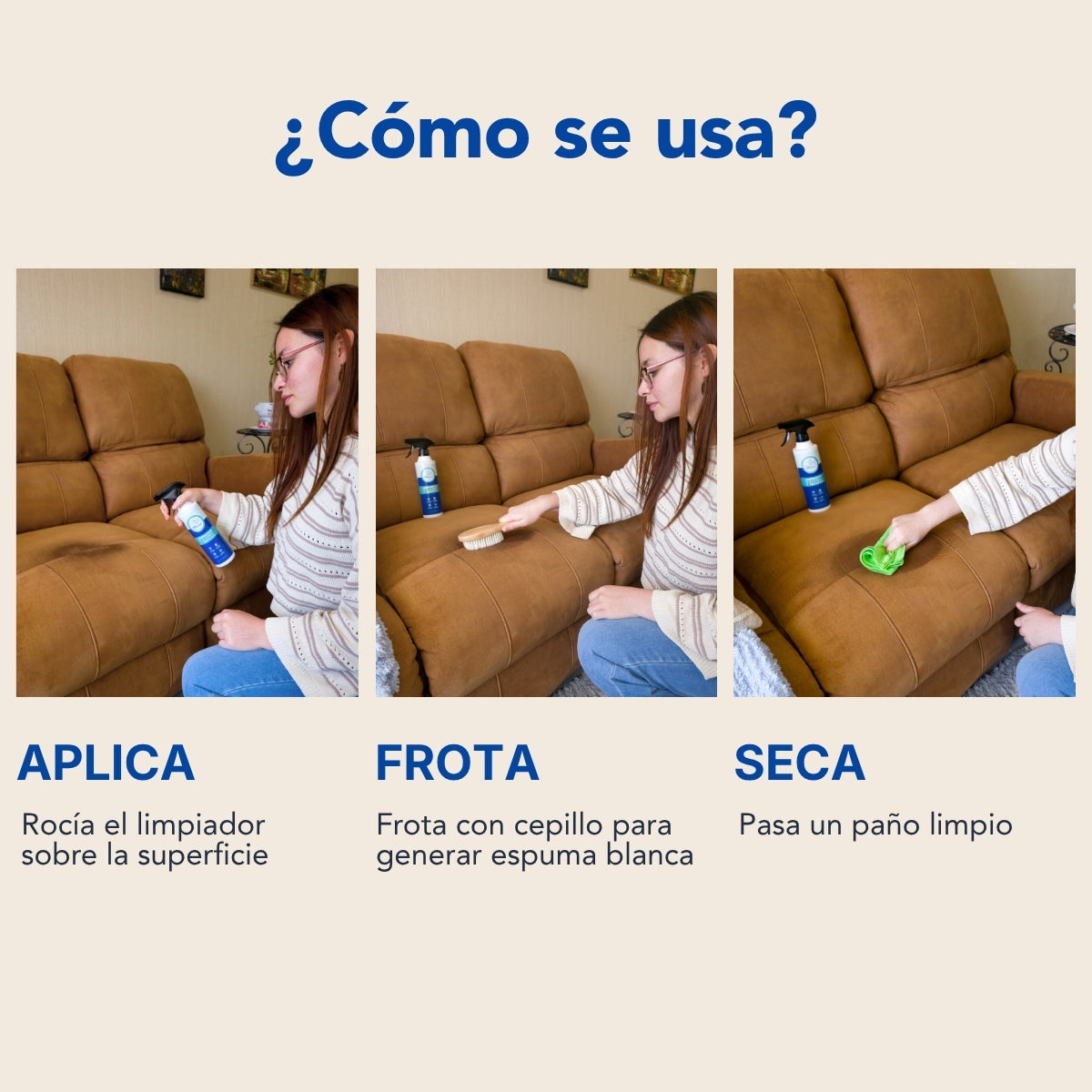 Limpiador Tapiz + Cepillo Tapiz