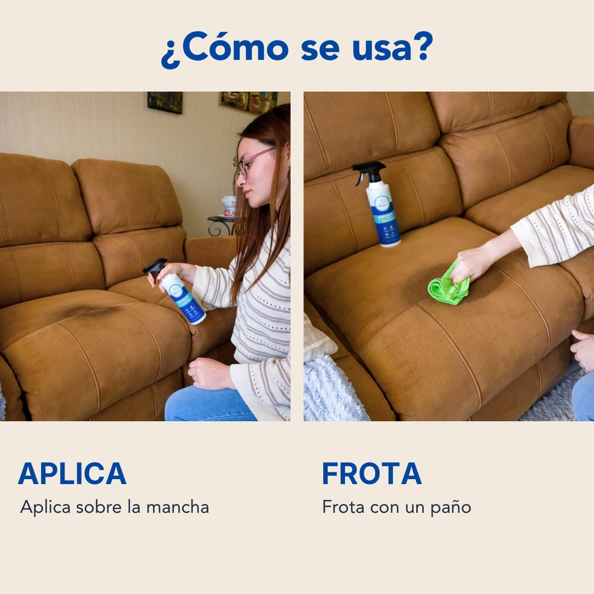 Pack x2 Limpiador Tapiz