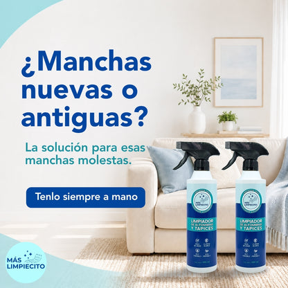 Pack x2 Limpiador Tapiz
