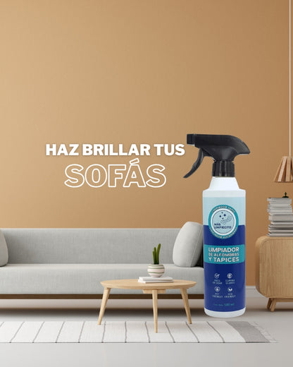 Pack x 2 Limpiador Tapiz