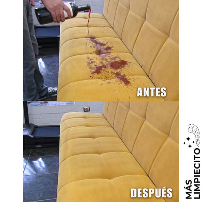 Pack x 2 Limpiador Tapiz