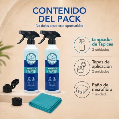 Pack x2 Limpiador Tapiz