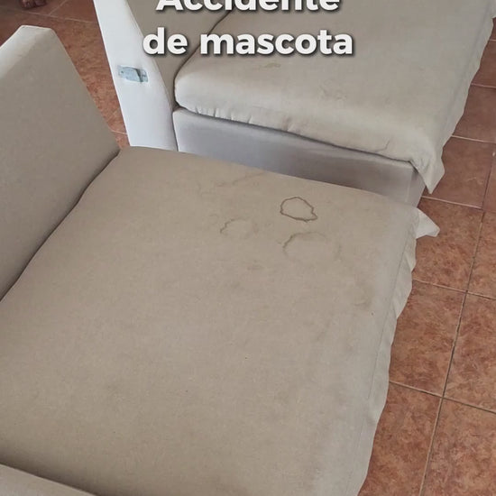 Urine Pro Más Limpiecito eliminando manchas y olor a orina de mascotas en tapices